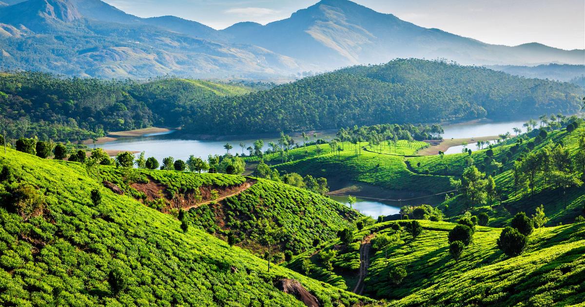 Munnar 2 Days Pakage